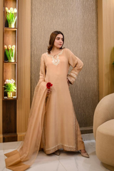 Sparkle - pure shalmoz silk with soft organza dupatta