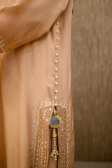 Sparkle - pure shalmoz silk with soft organza dupatta