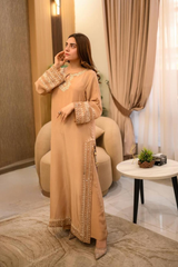 Sparkle - pure shalmoz silk with soft organza dupatta