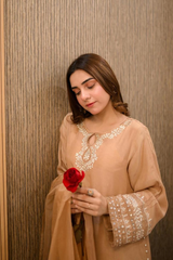 Sparkle - pure shalmoz silk with soft organza dupatta
