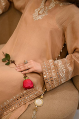 Sparkle - pure shalmoz silk with soft organza dupatta