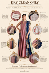 Mehwar – Pure Silk Panelled Peshwas with Organza Embroidered Navy Dupatta